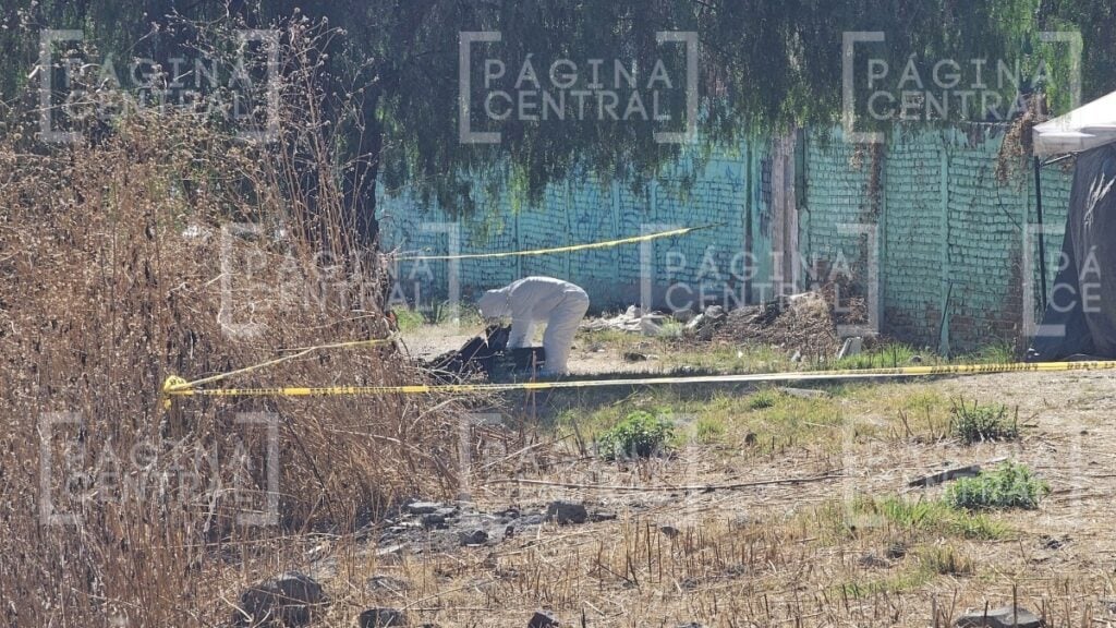 Hallazgo de restos humanos en Piletas IV por parte de colectivos