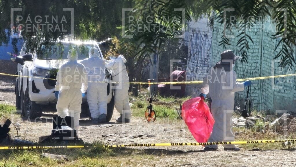 Hallazgo de restos humanos en Piletas IV por parte de colectivos