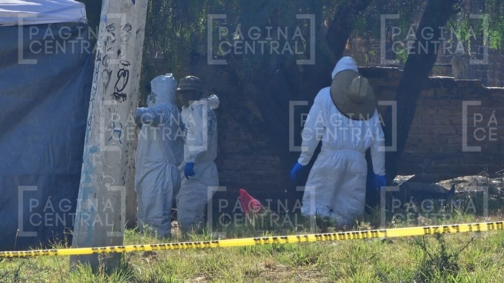 Hallazgo de restos humanos en Piletas IV por parte de colectivos