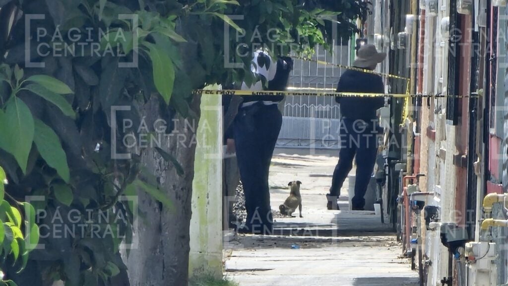 Villas de Santa Julia: Matan a una persona dentro de una casa