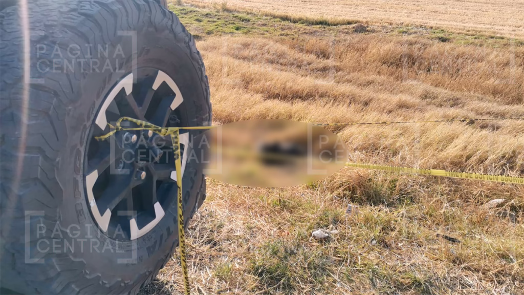 Encuentran un cuerpo en descomposición en la León-Manuel Doblado