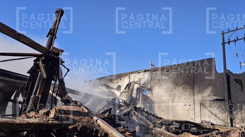 Incendio en Purísima del Rincón
