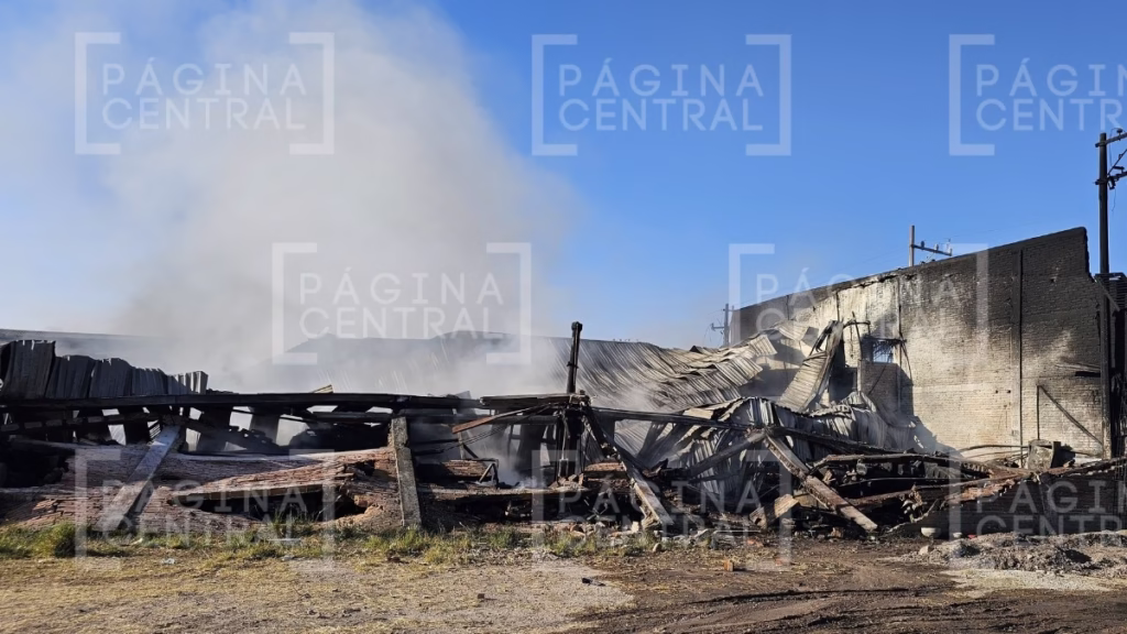 Incendio en Purísima del Rincón