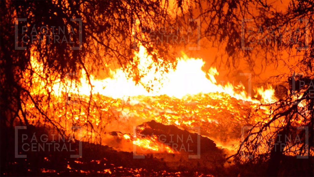 Incendio San Pedro del Monte: Tardan 4 horas en controlar incendio de pastizal