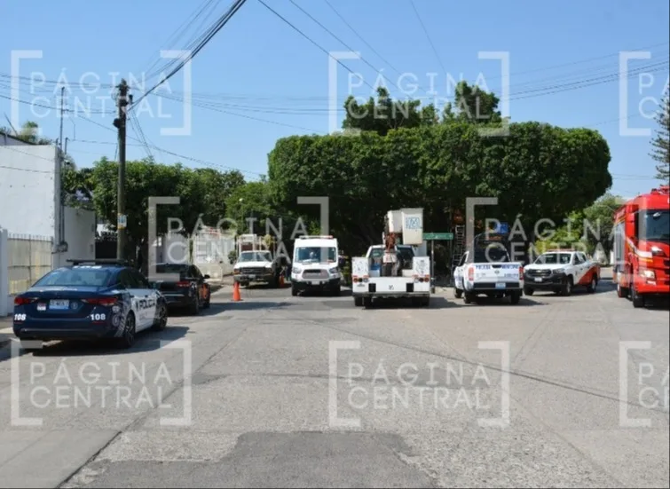 Volcadura Andrade: Empleados caen de canastilla al podar árbol