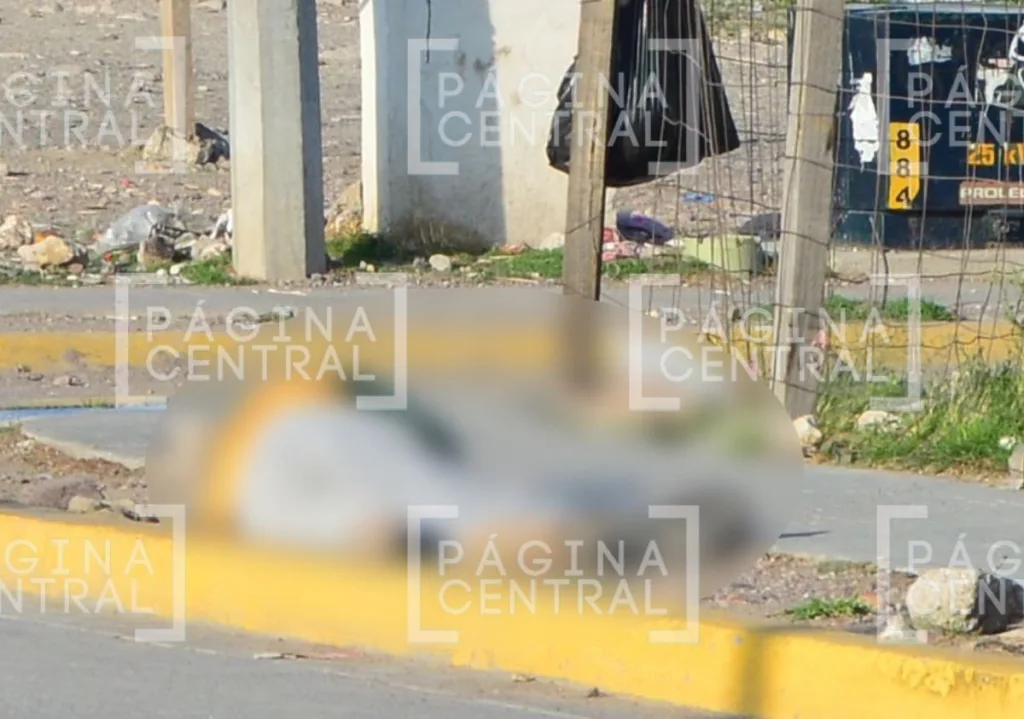 Brisas del Campestre