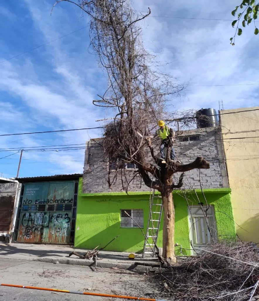 Refuerza León mantenimiento