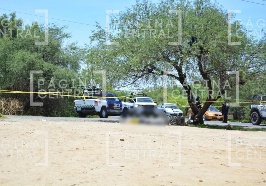 León-Santana del Conde