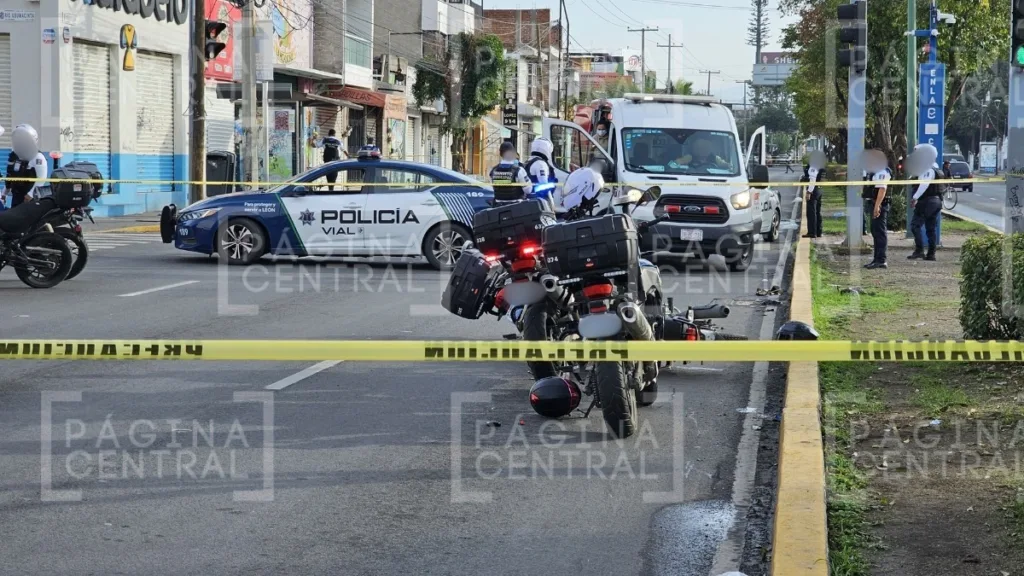 Ataque Hermanos Aldama: Matan a balazos a conductor en León