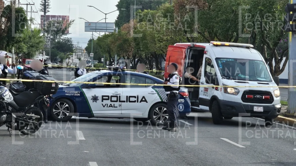 Ataque Hermanos Aldama: Matan a balazos a conductor en León