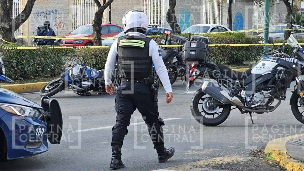 Ataque Hermanos Aldama: Matan a balazos a conductor en León