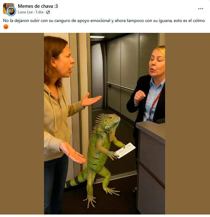 Esto sabemos del VIDEO del canguro emocional y su intento por abordar un avión