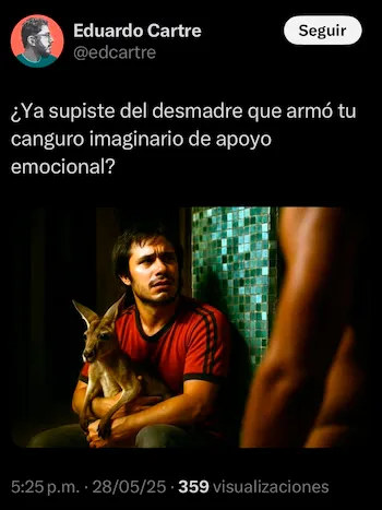 Esto sabemos del VIDEO del canguro emocional y su intento por abordar un avión