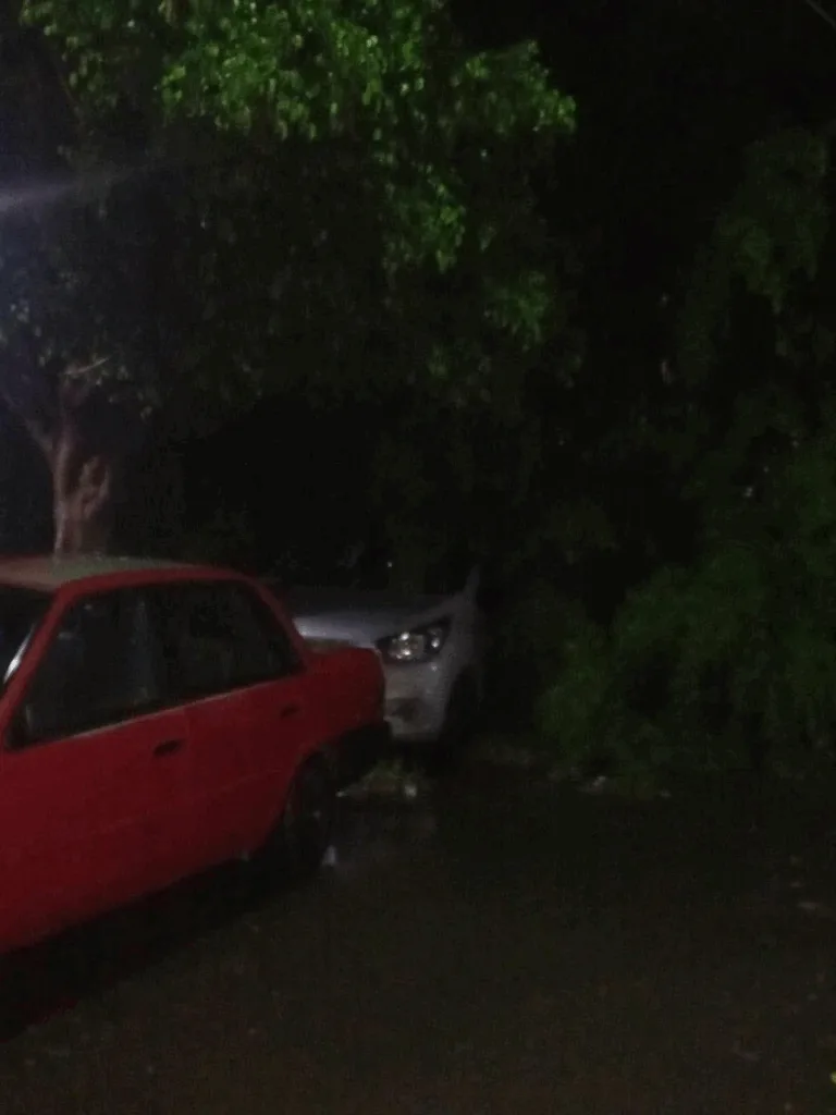 Lluvias León: Se registran encharcamientos y hasta un auto aplastado por un árbol