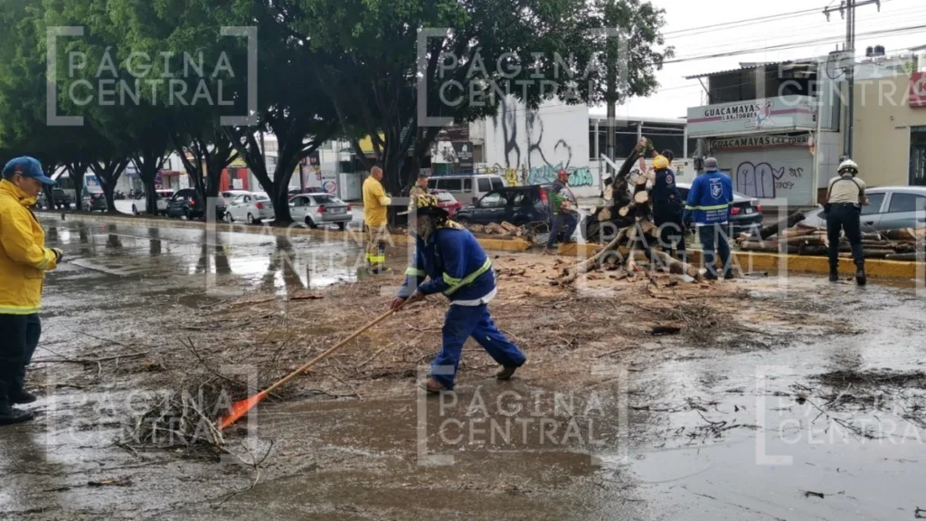 Lluvias en León causan cierre del Malecón y caída de árbol