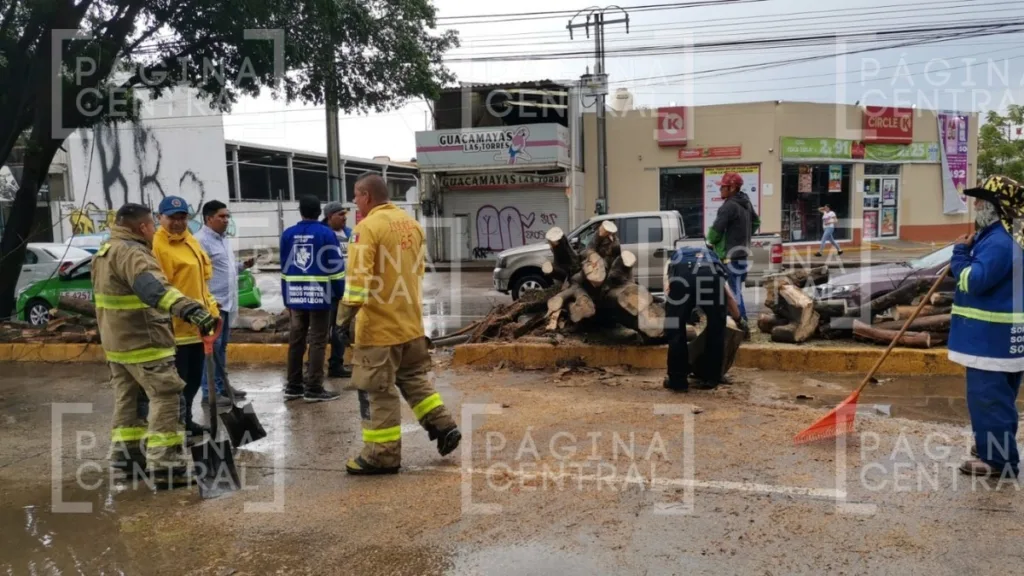 Lluvias en León causan cierre del Malecón y caída de árbol