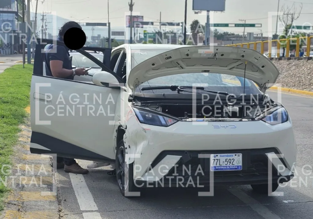 Portales de Arboleda