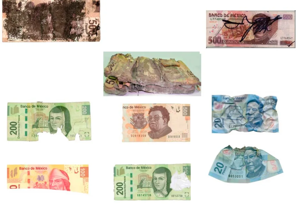 ¿Tus billetes están rotos, quemados o rayados? Esto es lo que debes saber