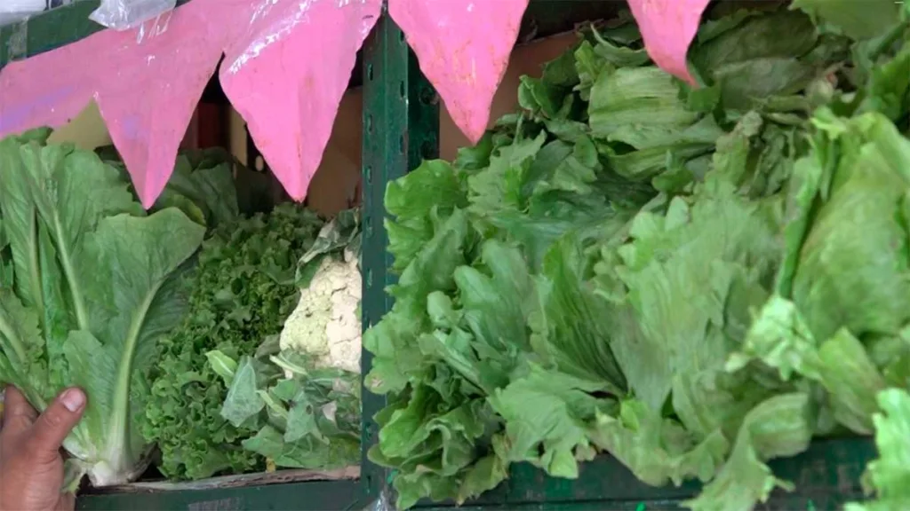 Estos son los productos de la canasta básica que subieron o bajaron de precio en León