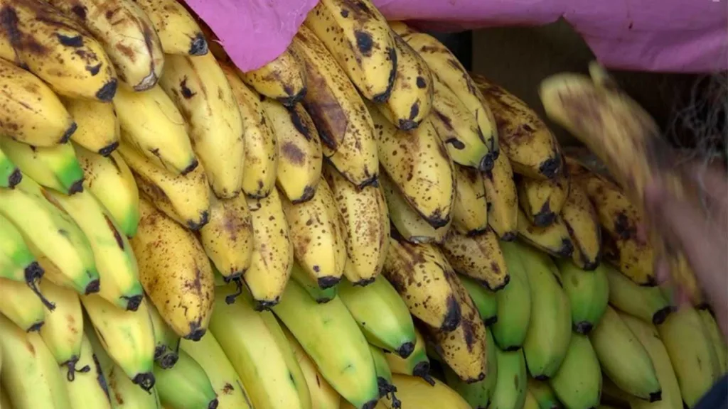 Estos son los productos de la canasta básica que subieron o bajaron de precio en León