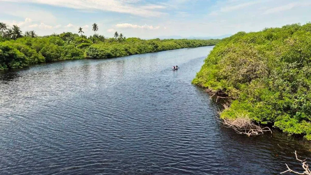 Cortazar: Joven pierde la vida tras caer de un puente y ser atacado por cocodrilos