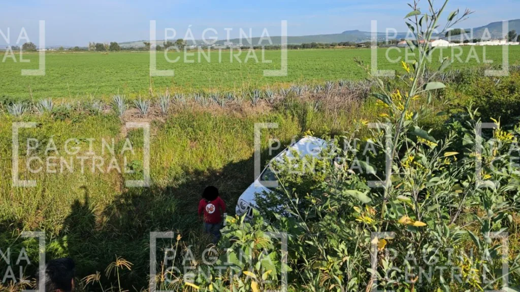 Manuel Doblado-Plan de Ayala