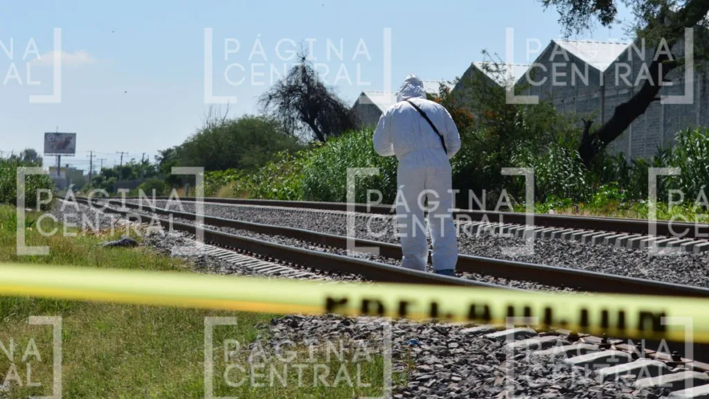 Bulevar Timoteo Lozano