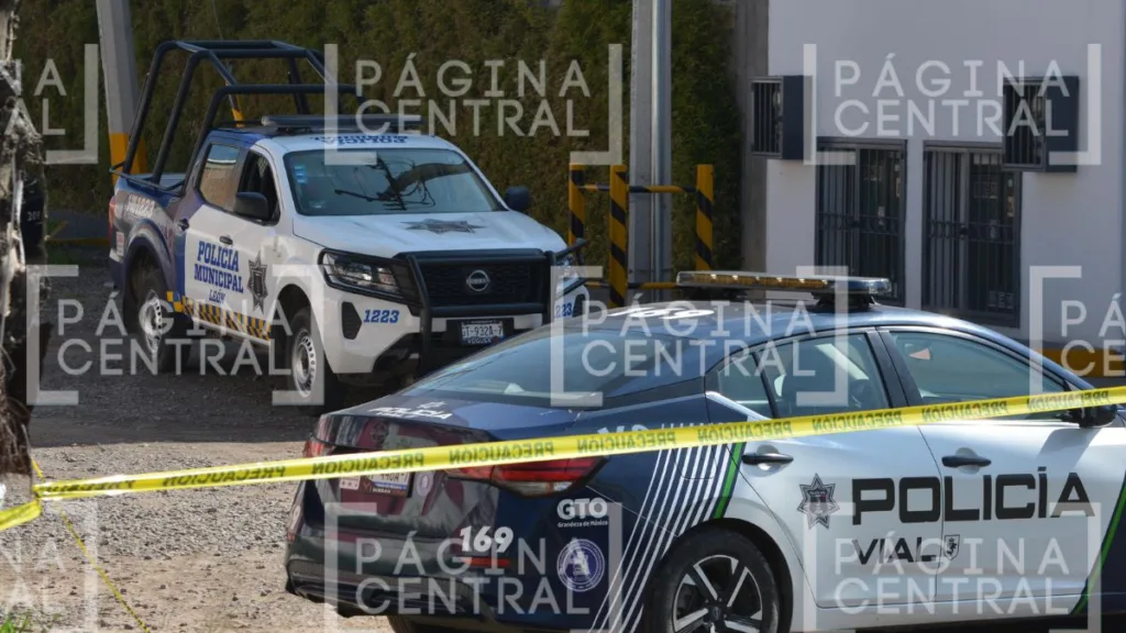 Bulevar Timoteo Lozano