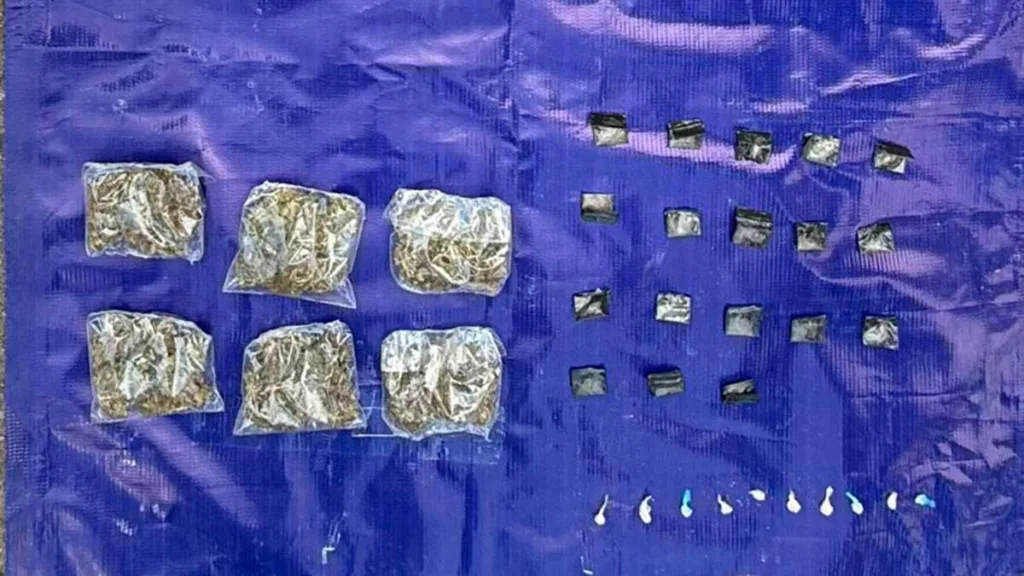 Guanajuato: Estrategia de seguridad CONFIA le arrebata al crimen más de 220 mdp 