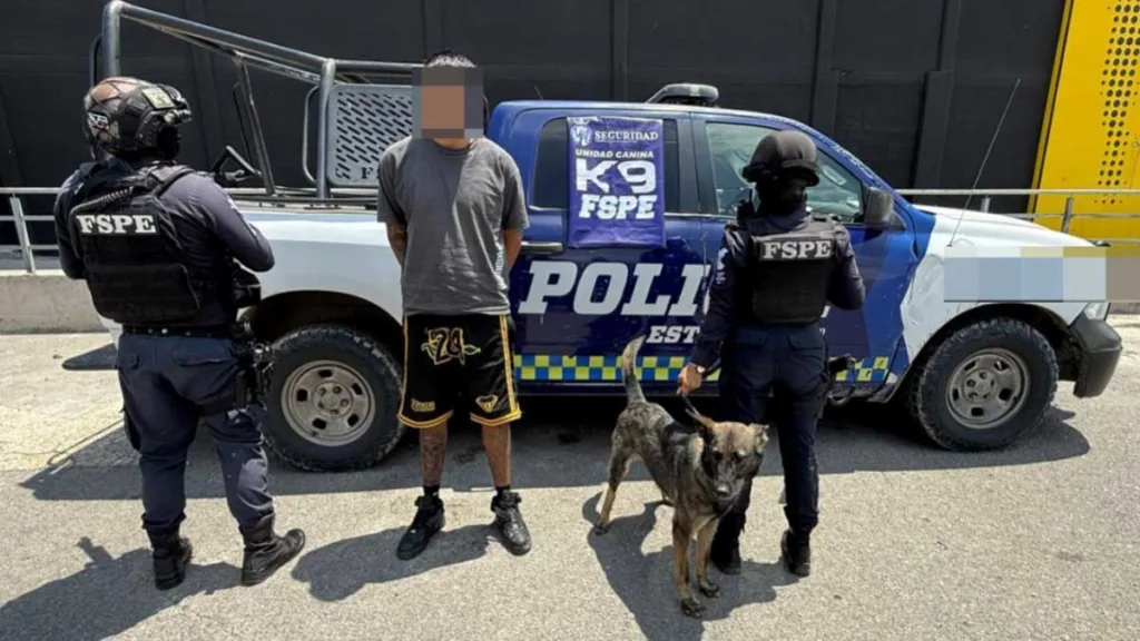 Guanajuato: Estrategia de seguridad CONFIA le arrebata al crimen más de 220 mdp 