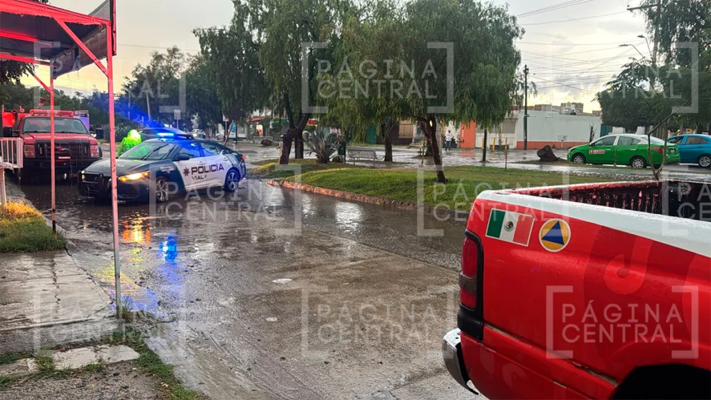 León: Lluvias intensas provocan caída de árbol y caos vial en varias zonas