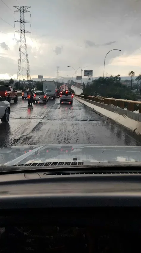 León: Lluvias intensas provocan caída de árbol y caos vial en varias zonas