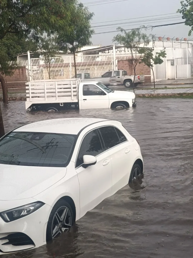 León: Lluvias intensas provocan caída de árbol y caos vial en varias zonas