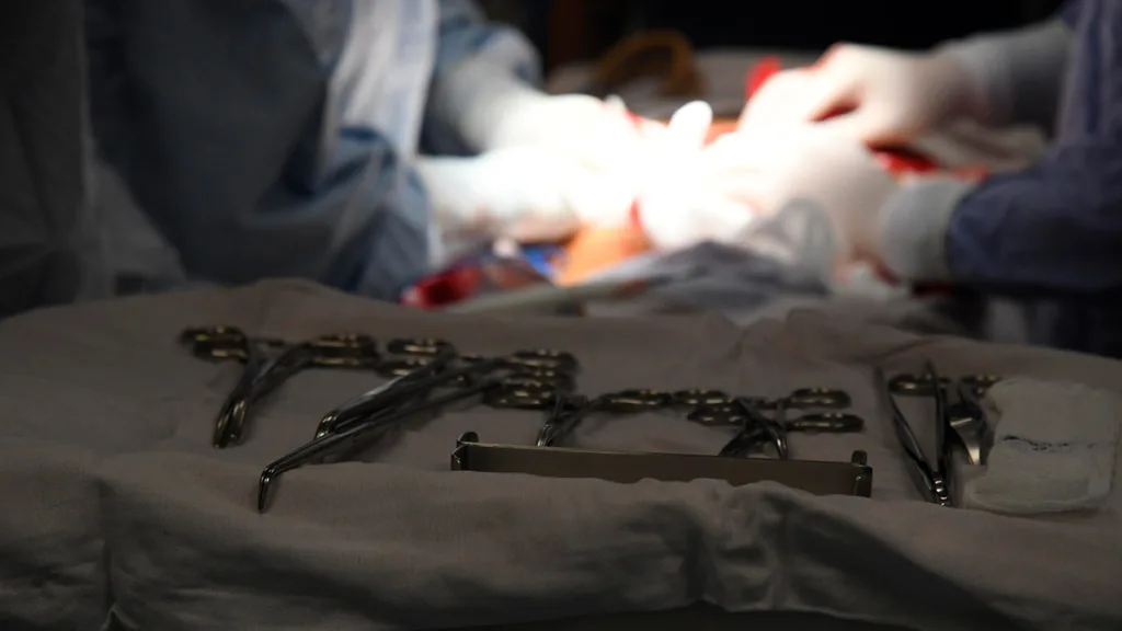 Joven de Salvatierra se convierte en héroe al donar sus órganos y dar vida a otros