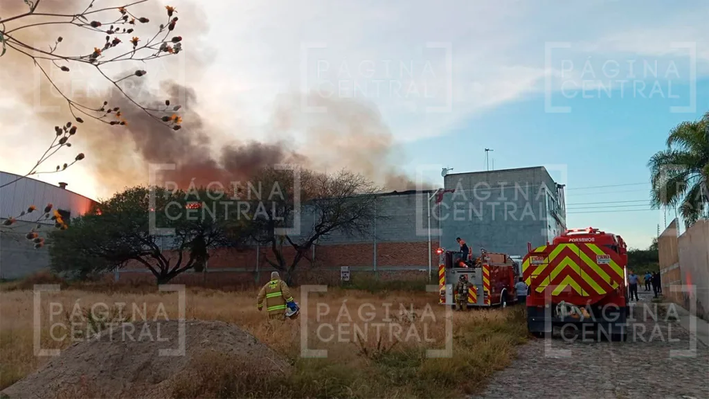 San Francisco del Rincón: Incendio en tenería moviliza a cuerpos de emergencia