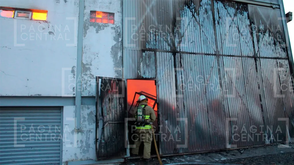 San Francisco del Rincón: Incendio en tenería moviliza a cuerpos de emergencia