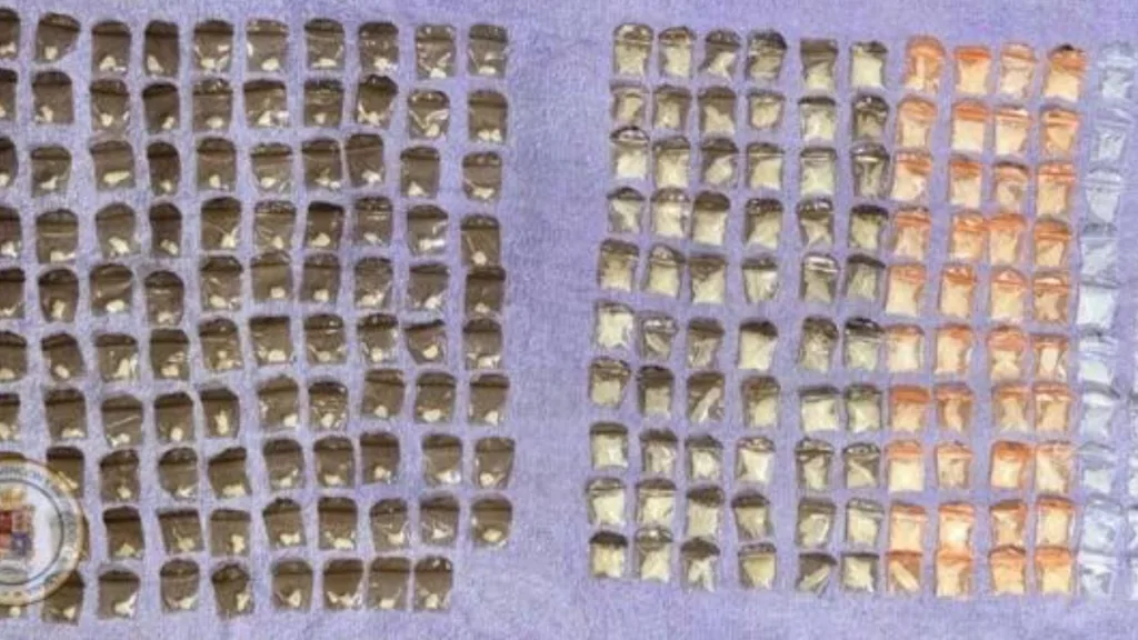 Ciudad Industrial: Detienen a dos hombres con un arma y más de 200 dosis