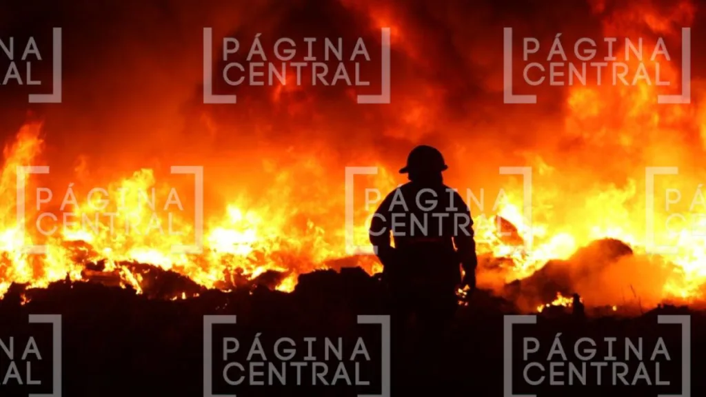 Purísima del Rincón