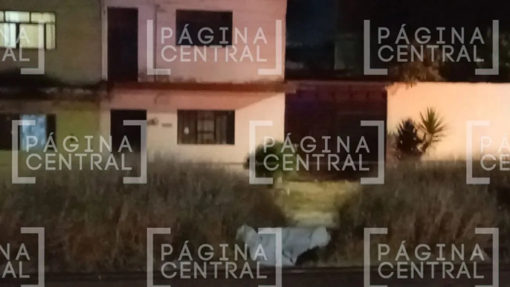 Santa María de Cementos