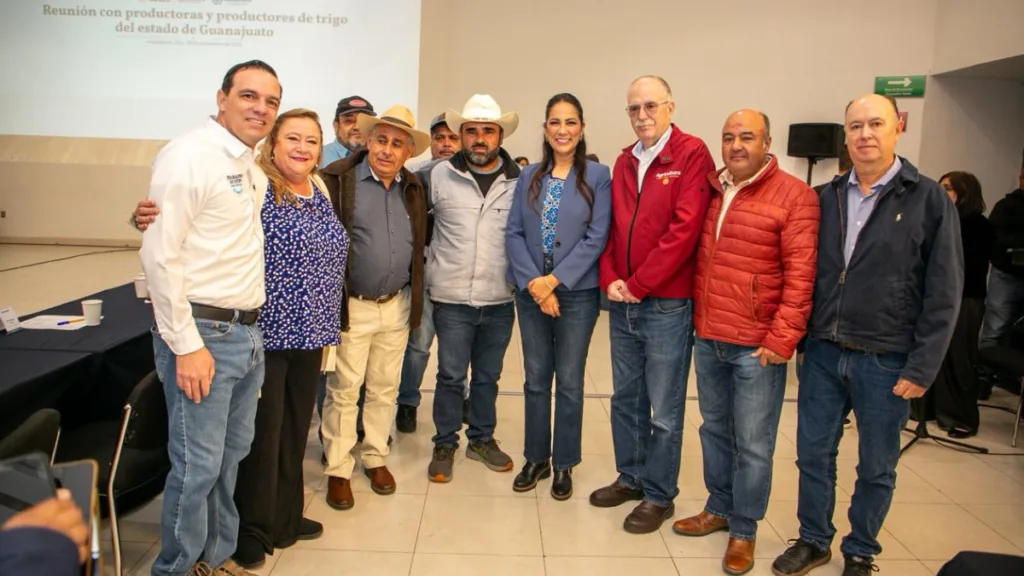 Más apoyo al campo en Guanajuato: anuncian beneficios para productores de trigo