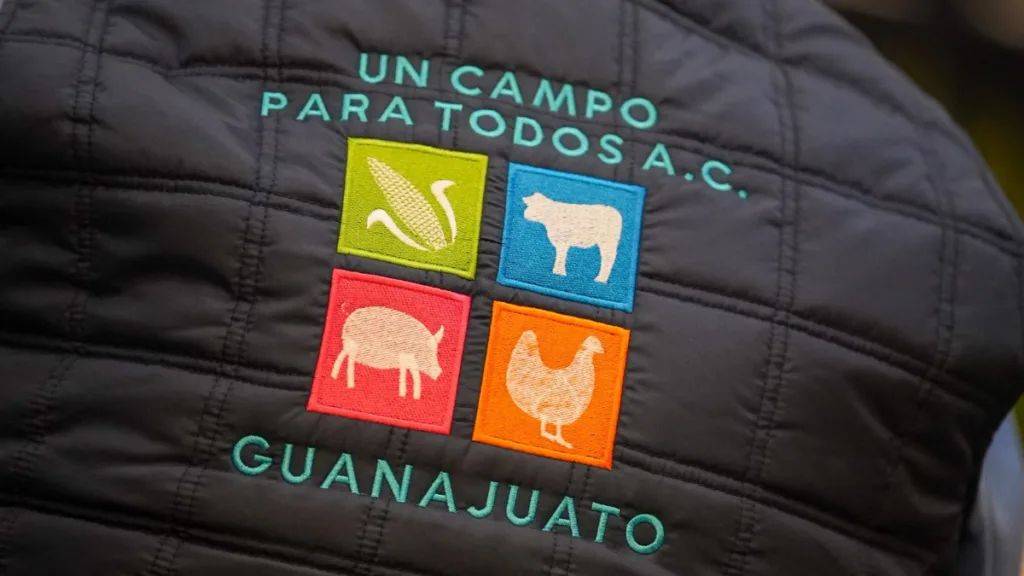 Más apoyo al campo en Guanajuato: anuncian beneficios para productores de trigo