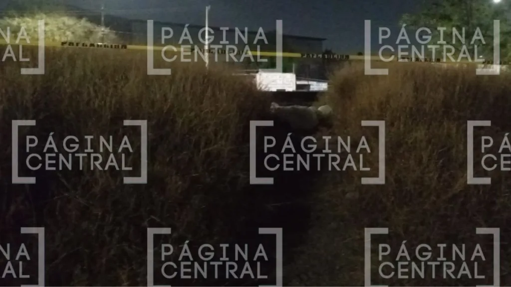 Santa María de Cementos