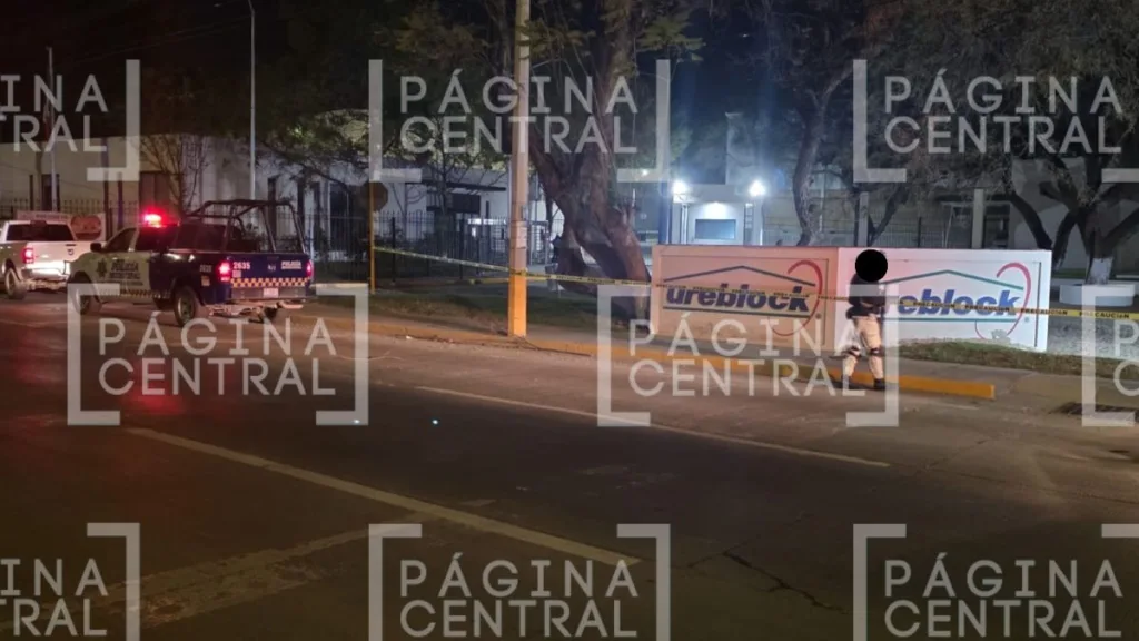 Purísima del Rincón