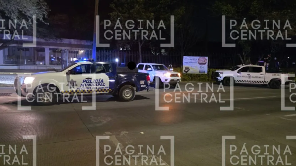 Purísima del Rincón